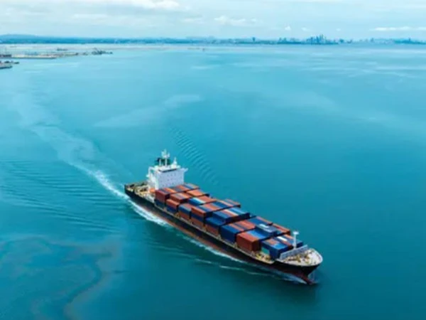 China to Algeria Sea Freight Service